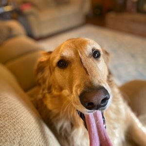 Meet your Posher, Jenna